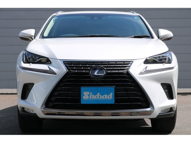 TOYOTA LEXUS NX300h 2018