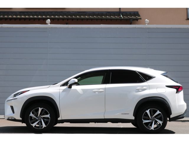 TOYOTA LEXUS NX300h 2018