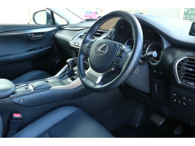 TOYOTA LEXUS NX300h 2018
