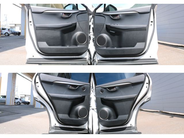 TOYOTA LEXUS NX300h 2018