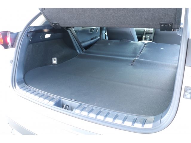 TOYOTA LEXUS NX300h 2018