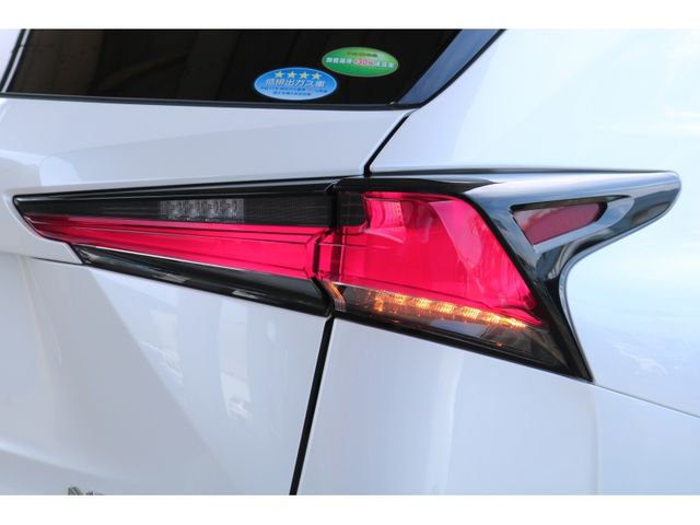 TOYOTA LEXUS NX300h 2018