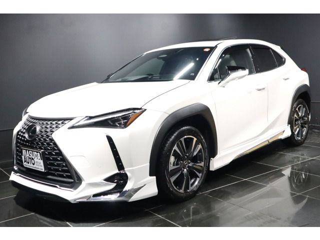 TOYOTA LEXUS UX300h 2025