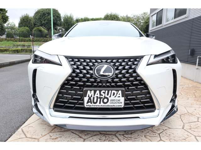 TOYOTA LEXUS UX300h 2025