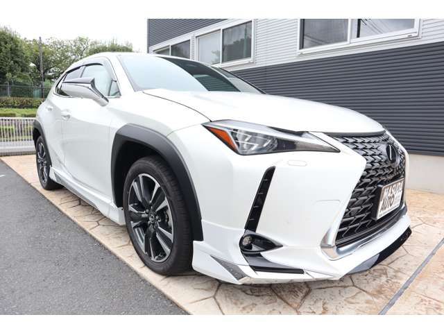 TOYOTA LEXUS UX300h 2025