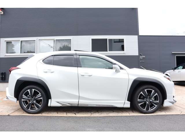 TOYOTA LEXUS UX300h 2025