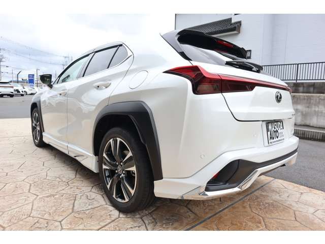 TOYOTA LEXUS UX300h 2025