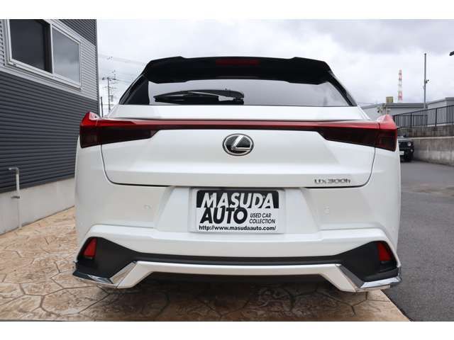 TOYOTA LEXUS UX300h 2025