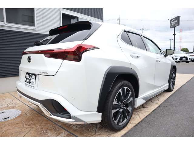 TOYOTA LEXUS UX300h 2025