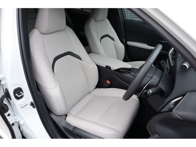 TOYOTA LEXUS UX300h 2025