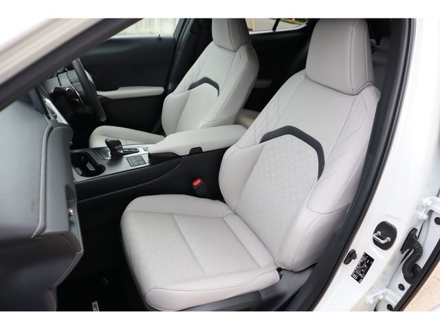 TOYOTA LEXUS UX300h 2025