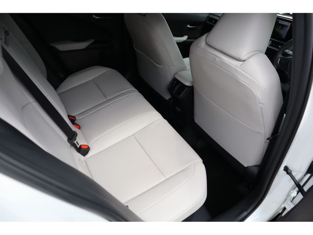 TOYOTA LEXUS UX300h 2025