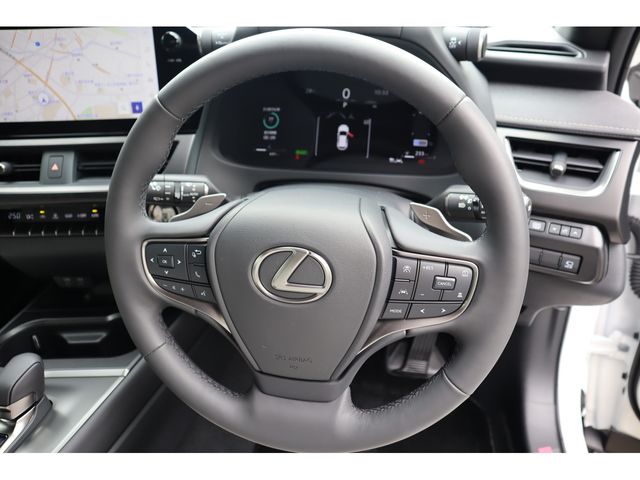TOYOTA LEXUS UX300h 2025