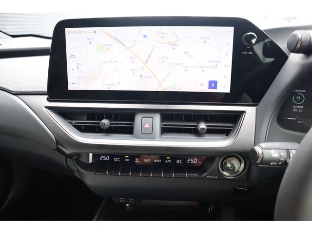 TOYOTA LEXUS UX300h 2025