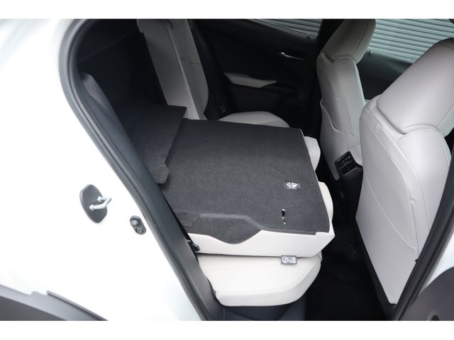 TOYOTA LEXUS UX300h 2025