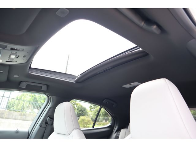 TOYOTA LEXUS UX300h 2025