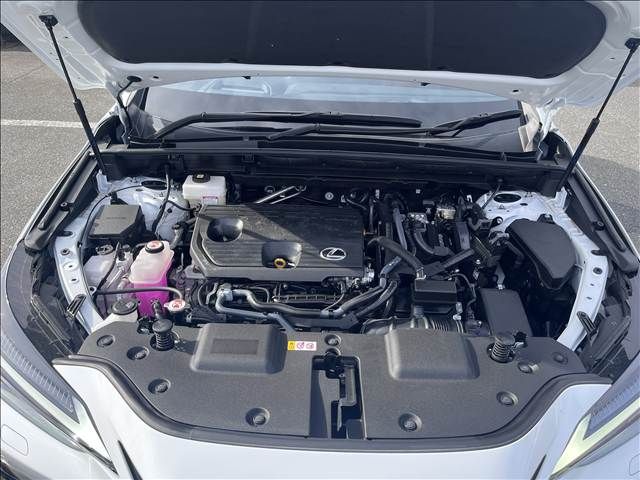 TOYOTA LEXUS NX350h 2023