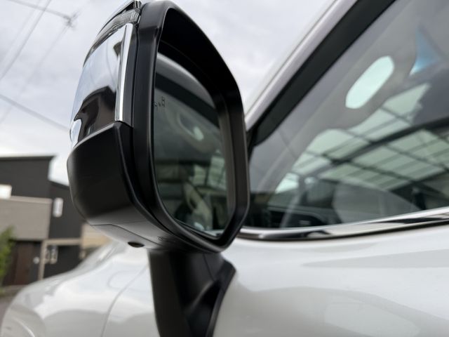 TOYOTA LANDCRUISER wagon 2024