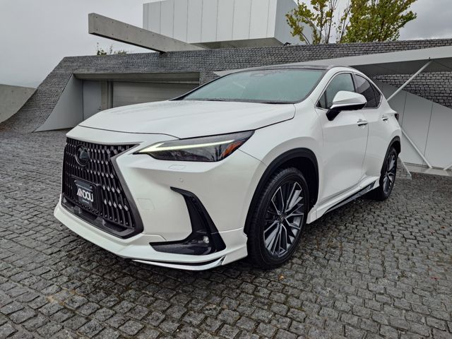 TOYOTA LEXUS NX250 2023