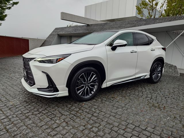 TOYOTA LEXUS NX250 2023