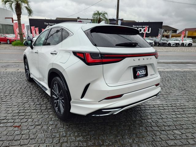 TOYOTA LEXUS NX250 2023