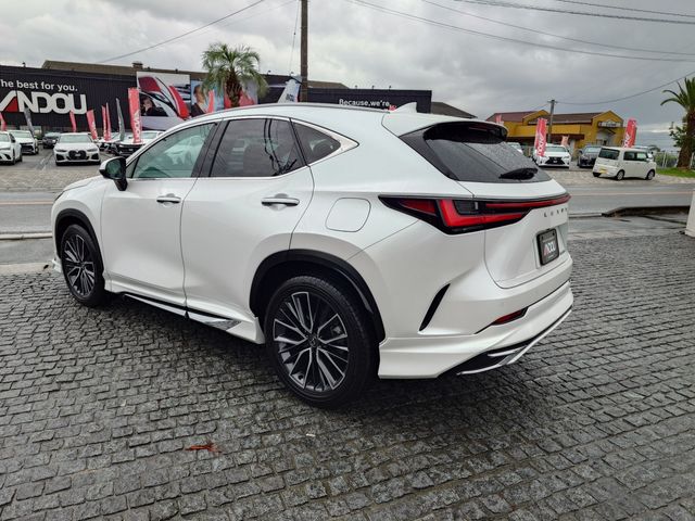 TOYOTA LEXUS NX250 2023