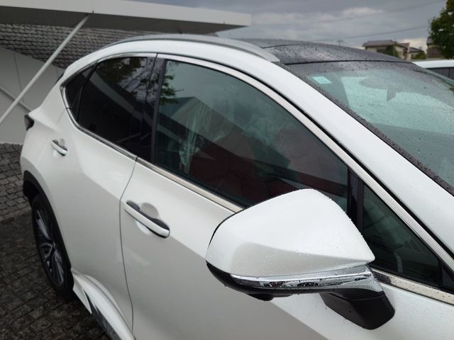 TOYOTA LEXUS NX250 2023