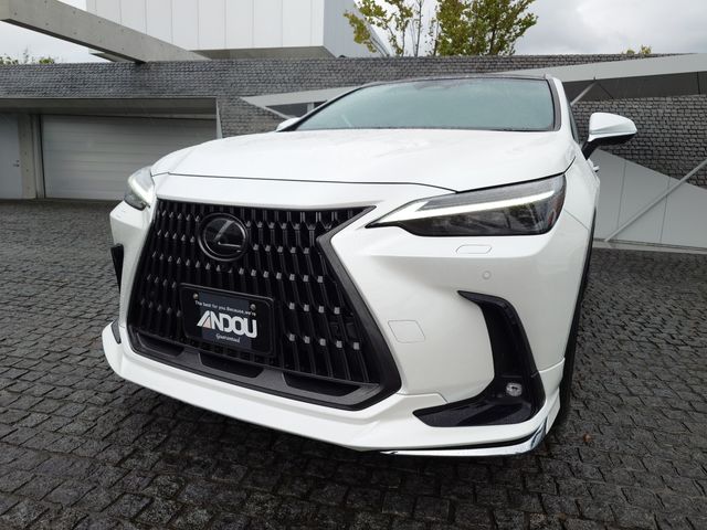 TOYOTA LEXUS NX250 2023