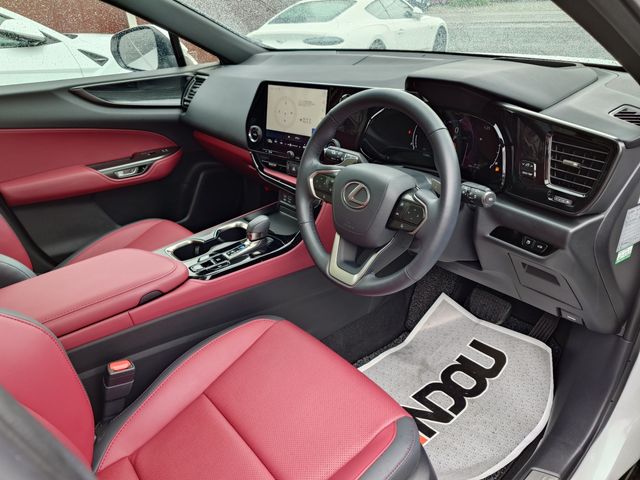 TOYOTA LEXUS NX250 2023