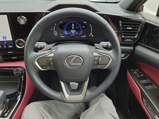 TOYOTA LEXUS NX250 2023