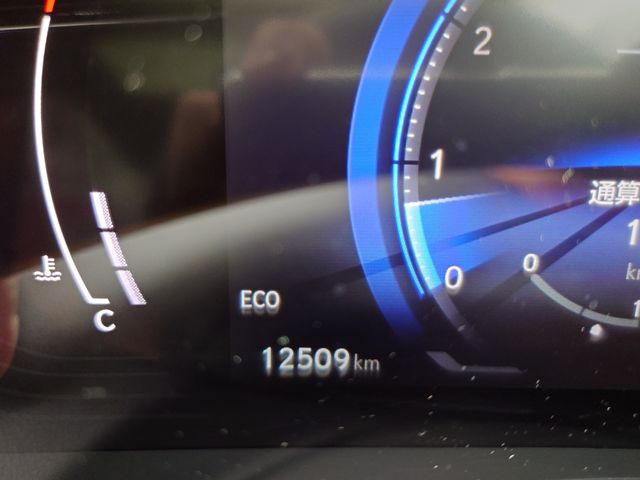 TOYOTA LEXUS NX250 2023