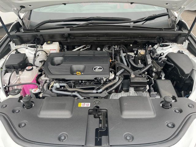 TOYOTA LEXUS NX350h 2022