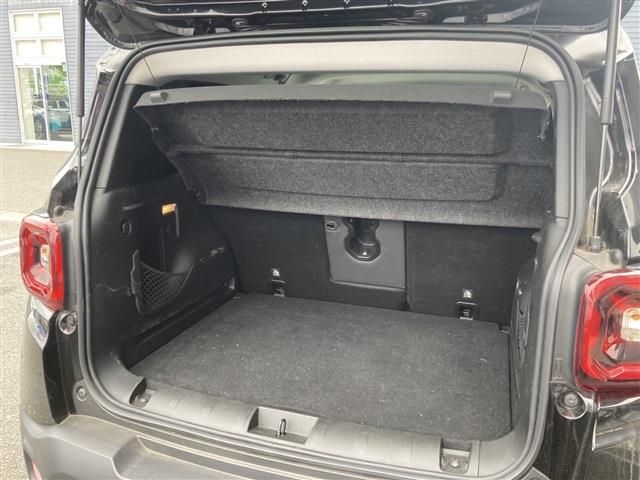 JEEP JEEP Renegade 2020