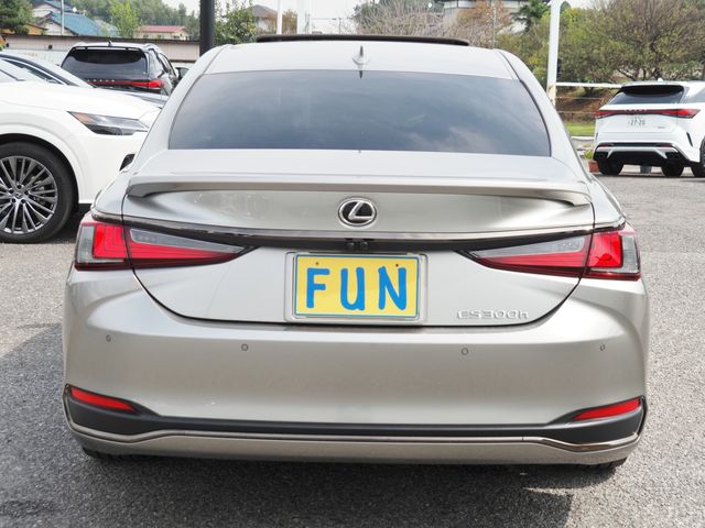 TOYOTA LEXUS ES300h 2022