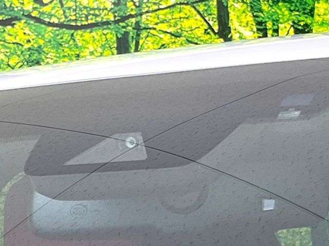 TOYOTA LEXUS NX300h 2019