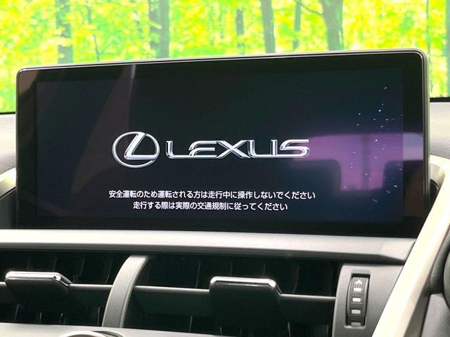 TOYOTA LEXUS NX300h 2019