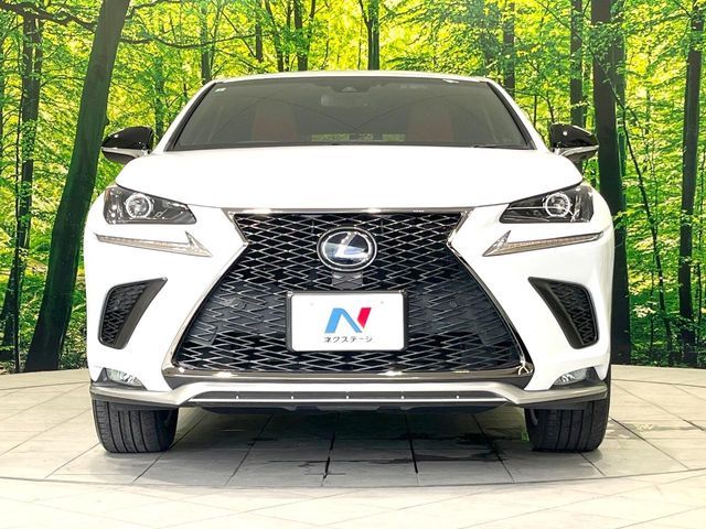 TOYOTA LEXUS NX300h 2019