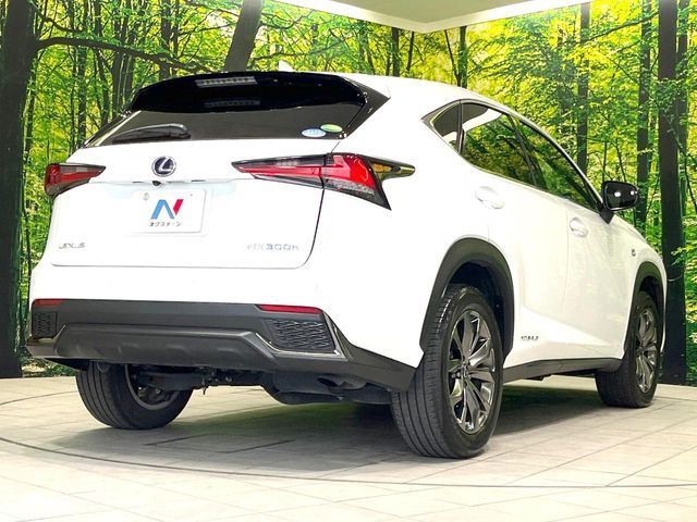 TOYOTA LEXUS NX300h 2019