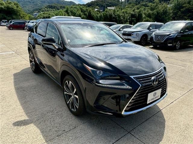 TOYOTA LEXUS NX300h 2020