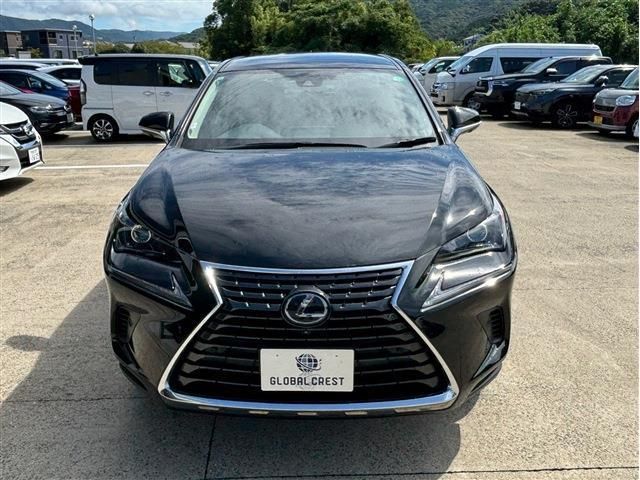 TOYOTA LEXUS NX300h 2020