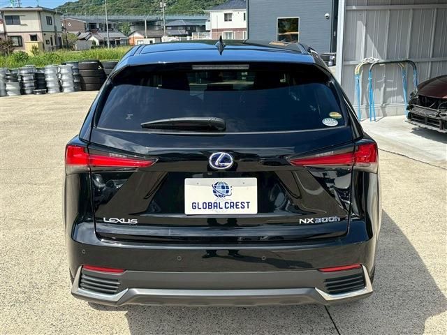 TOYOTA LEXUS NX300h 2020