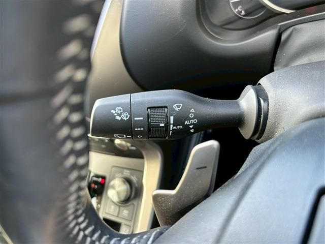 TOYOTA LEXUS NX300h 2020