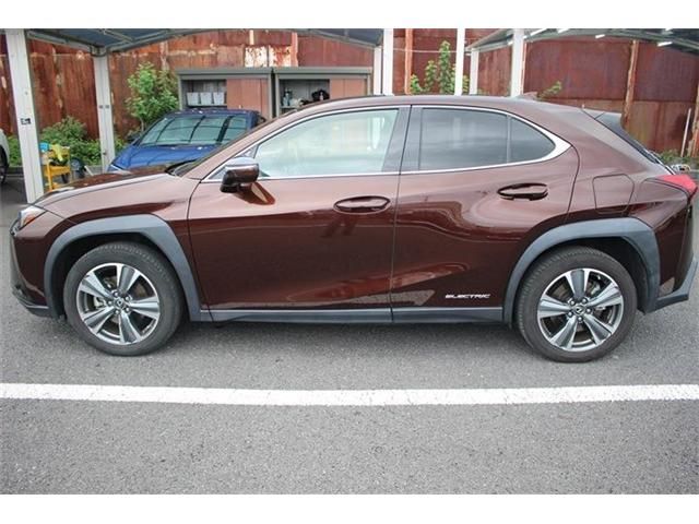 TOYOTA LEXUS UX300e 2021