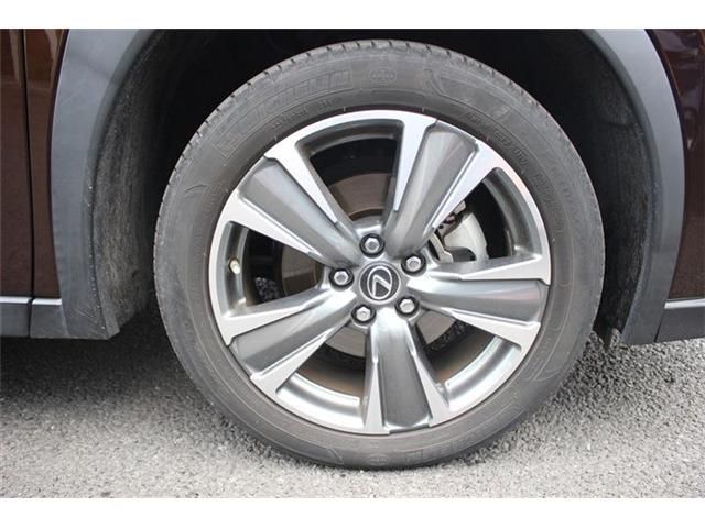 TOYOTA LEXUS UX300e 2021