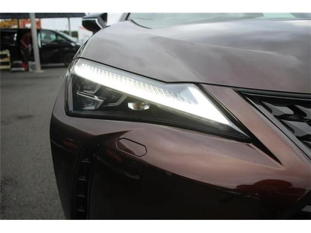 TOYOTA LEXUS UX300e 2021