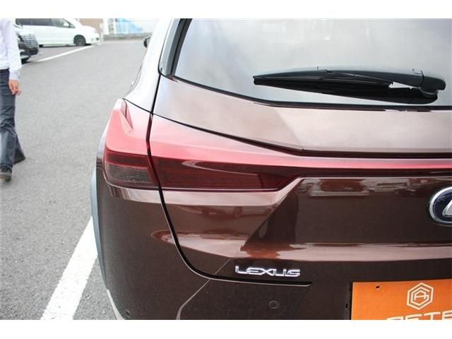 TOYOTA LEXUS UX300e 2021