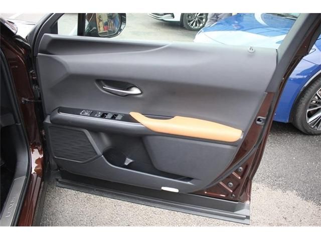 TOYOTA LEXUS UX300e 2021