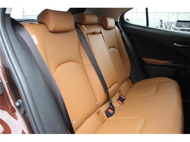 TOYOTA LEXUS UX300e 2021