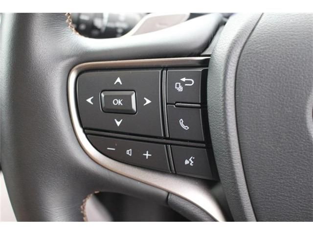 TOYOTA LEXUS UX300e 2021