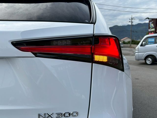 TOYOTA LEXUS NX300 AWD 2018